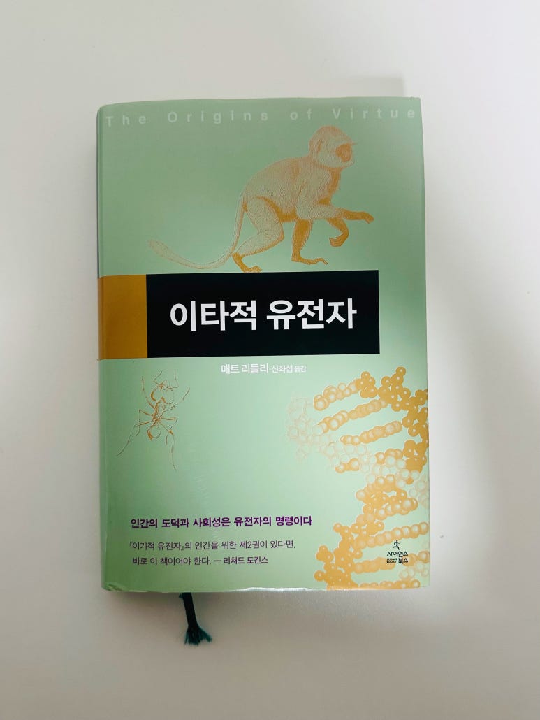 머리띵 이미지