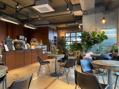 CAFE BLOOMS(카페블룸스) 이미지