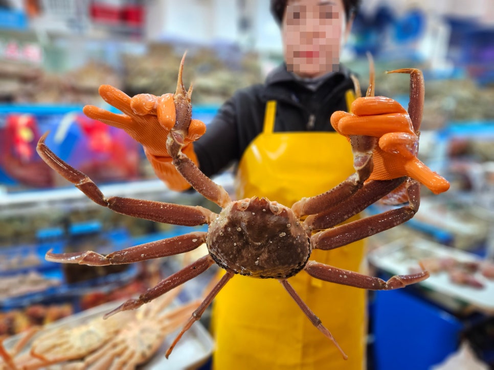 대일수산 이미지