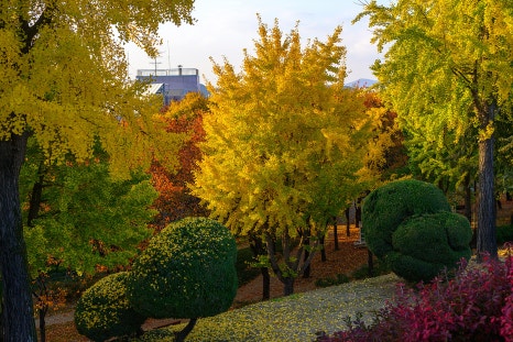 신암공원 이미지