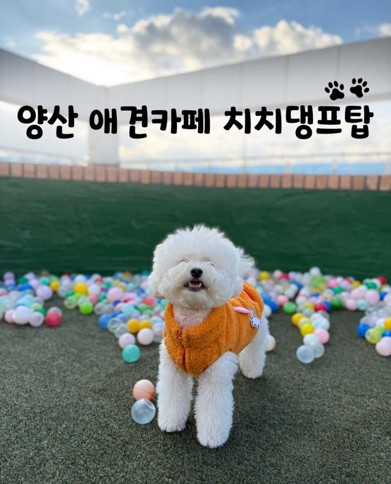 치치댕프탑 이미지
