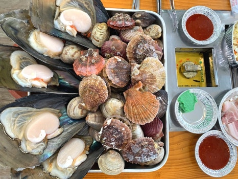 참참조개구이회센타 이미지