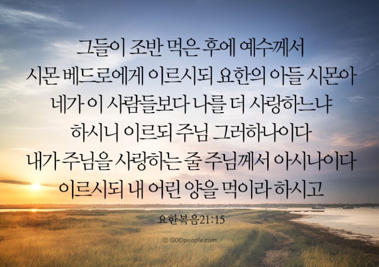 더조반 이미지