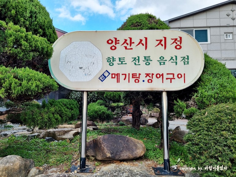 이유집양산부산대 이미지