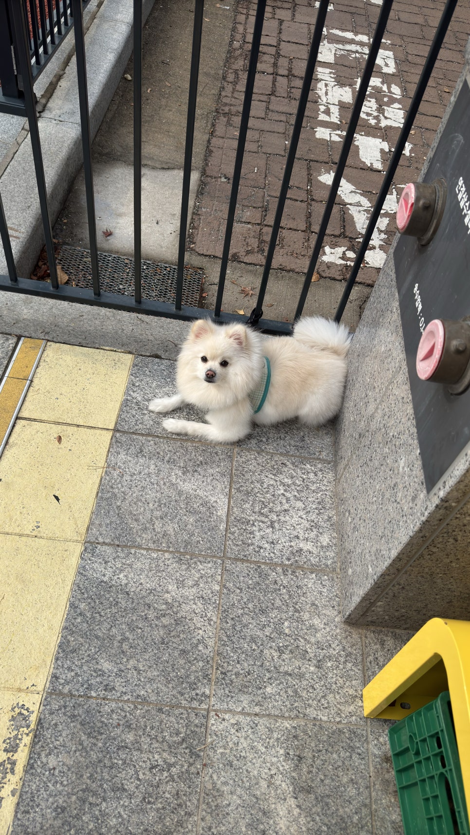 한샘다방 이미지
