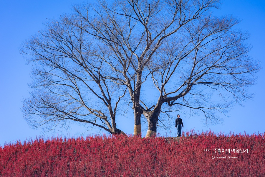 큰맘할매순대국 영월남면점 이미지