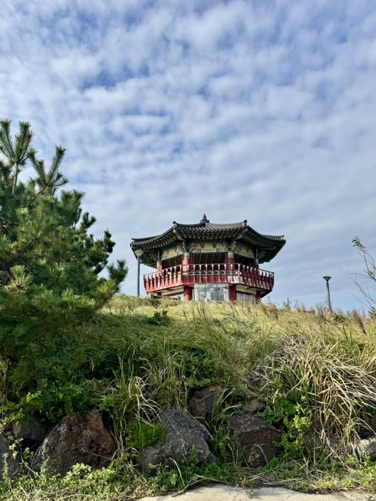 수월봉전기바이크 이미지