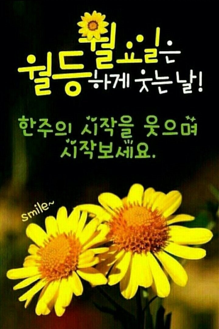 이지짐 이미지