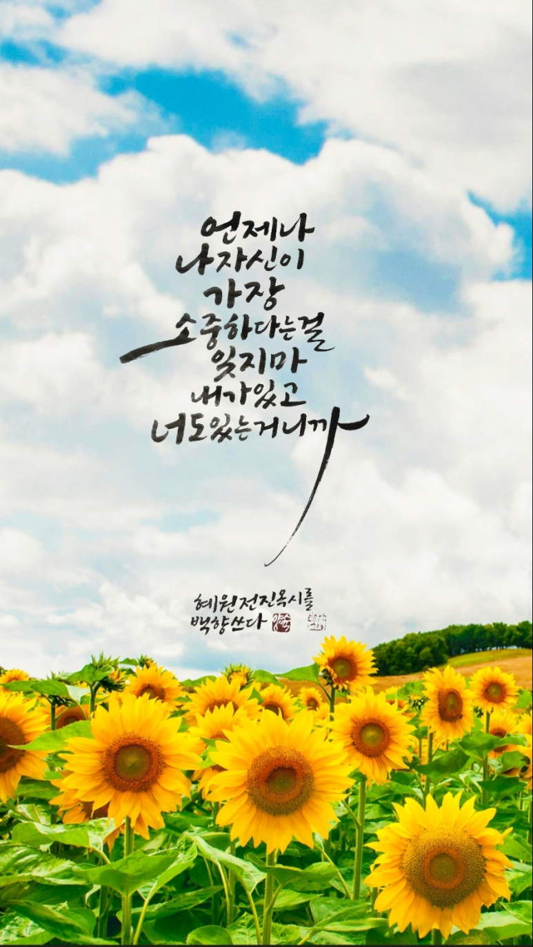 혜원애드 이미지