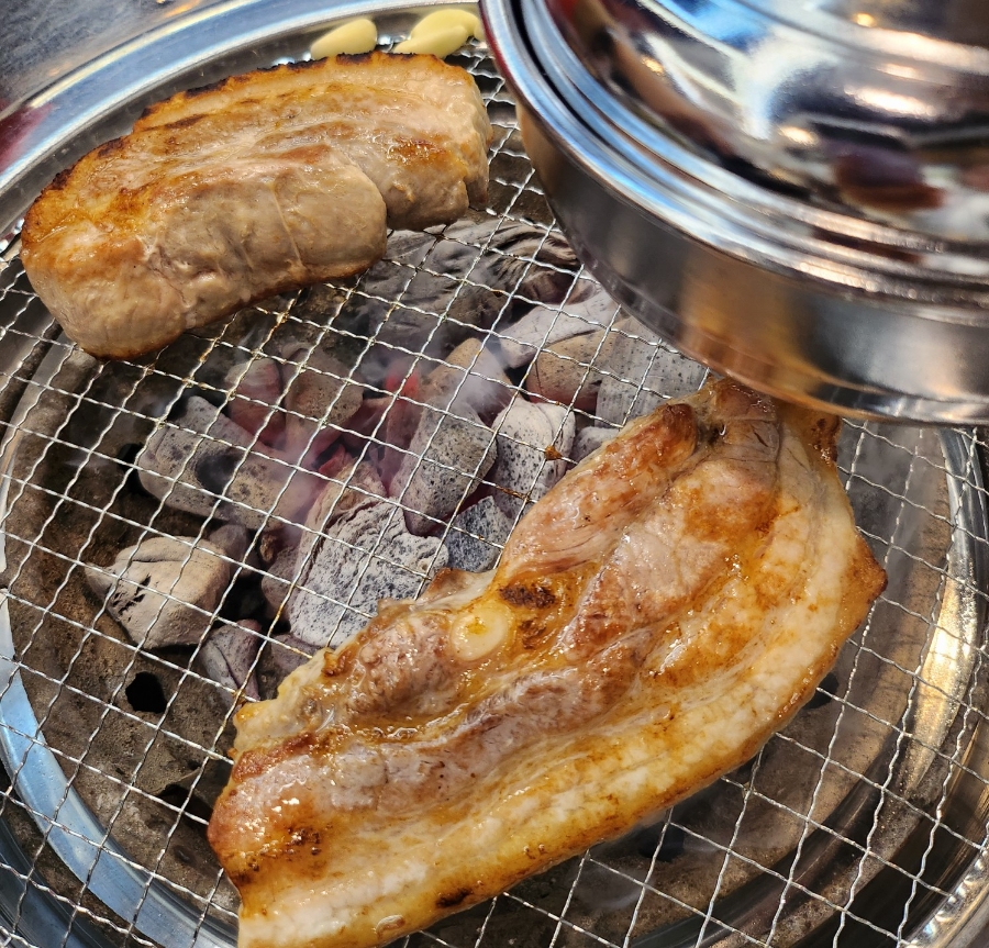 돼지도있소 이미지