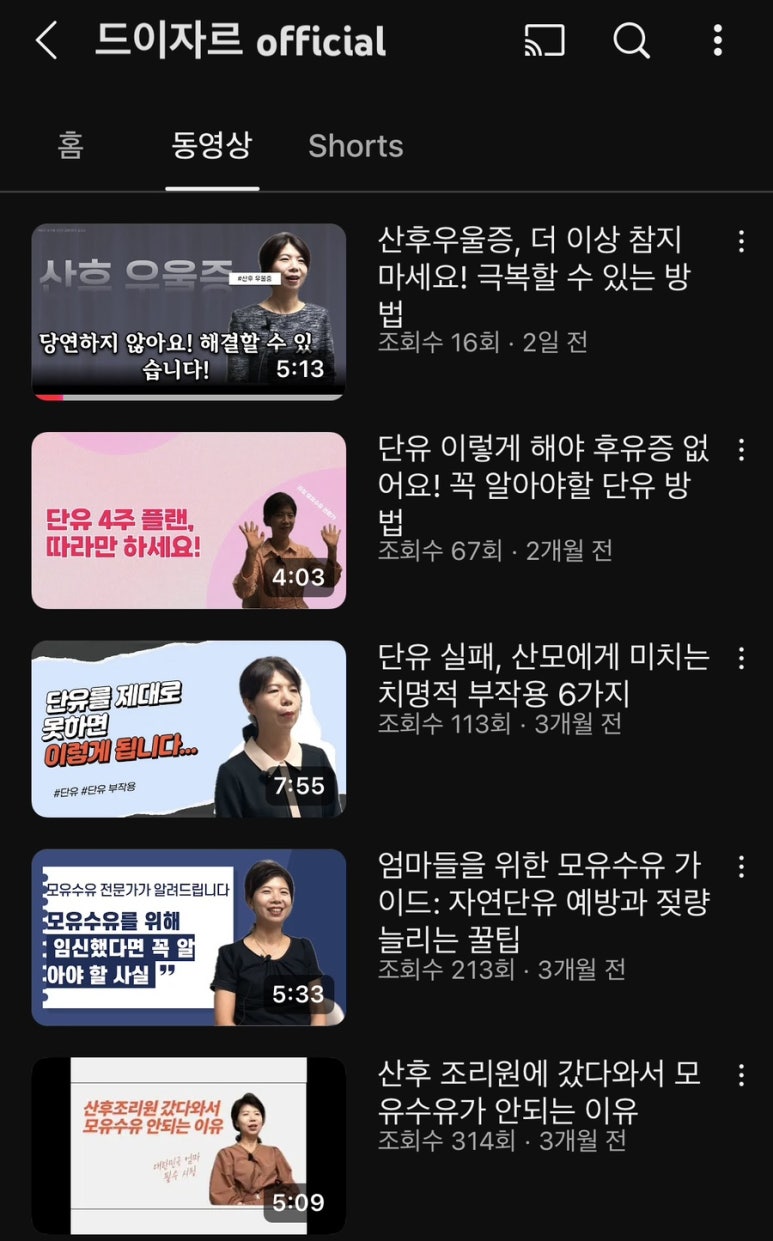 드이자르 산후도우미 이미지