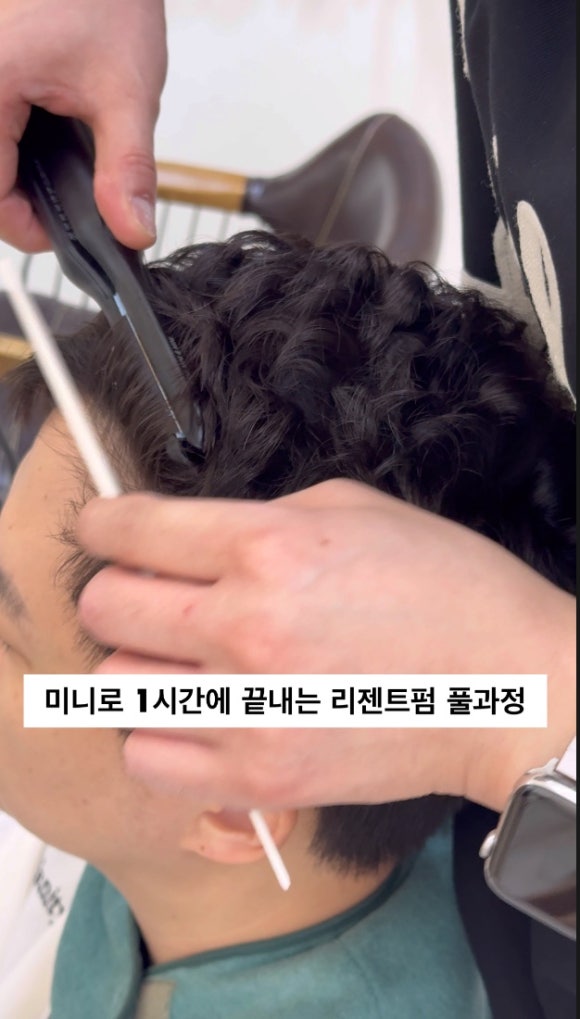 보하비 이미지