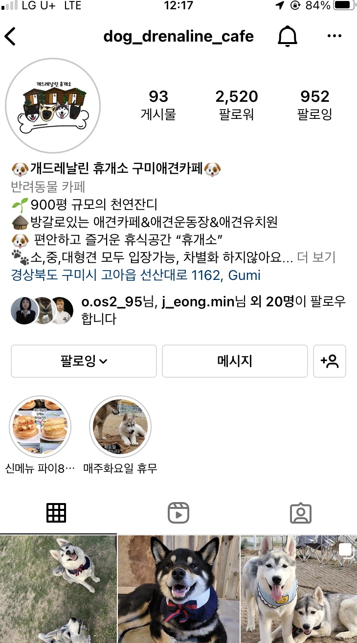 개드레날린휴개소 이미지