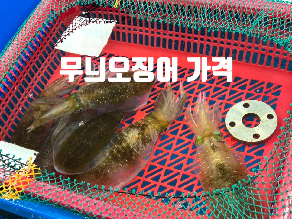 영덕상회 이미지
