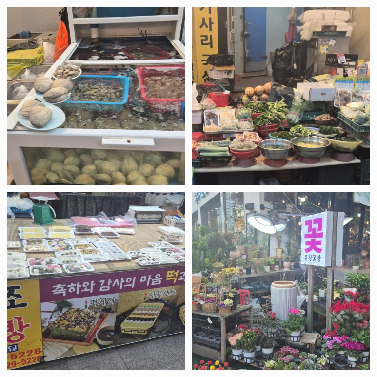 외동채소 이미지