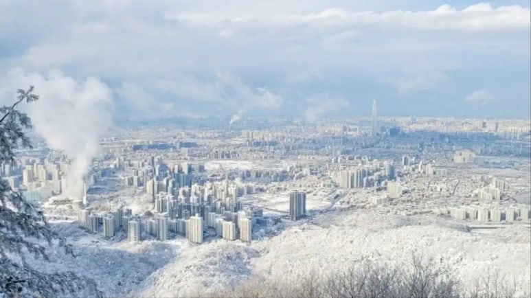 마리아케이글로벌 이미지