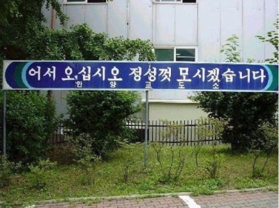 돌핀리조트 이미지