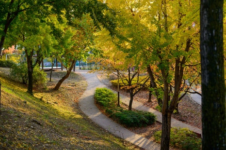 신암공원 이미지