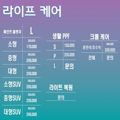 체크손세차 이미지
