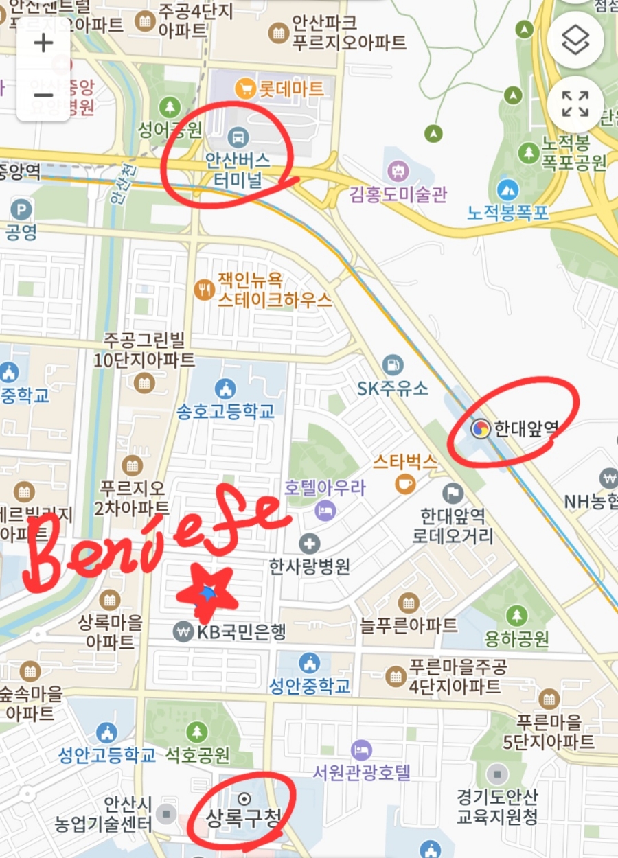 벤제프안산 이미지