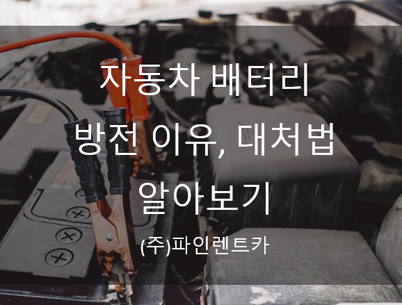 파인렌트주 이미지