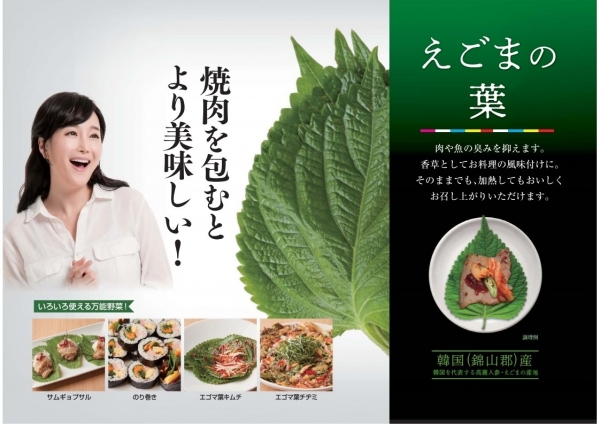 뉴터 이미지