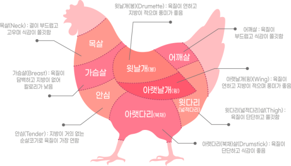 의모든것 이미지