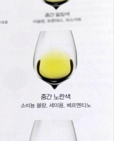 르베르제 이미지