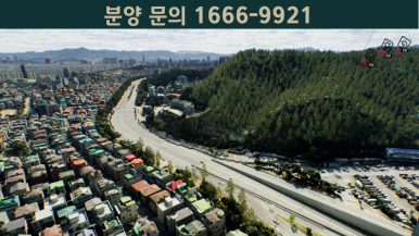 둔산아름다운사진 이미지