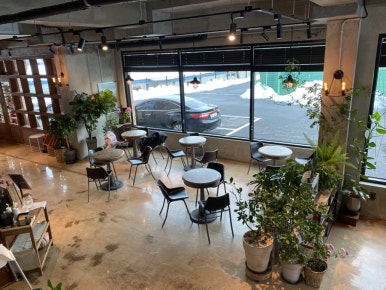 CAFE BLOOMS(카페블룸스) 이미지