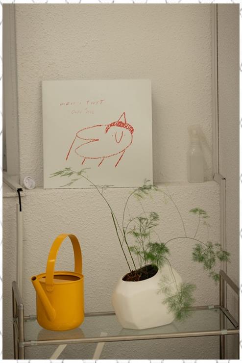 올람 이미지