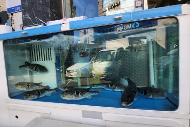 제일복집 이미지
