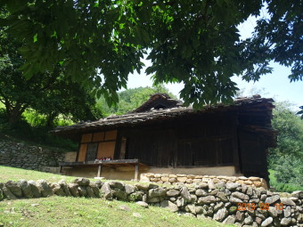 동화숲 이미지