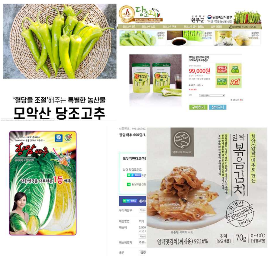 뉴터 이미지