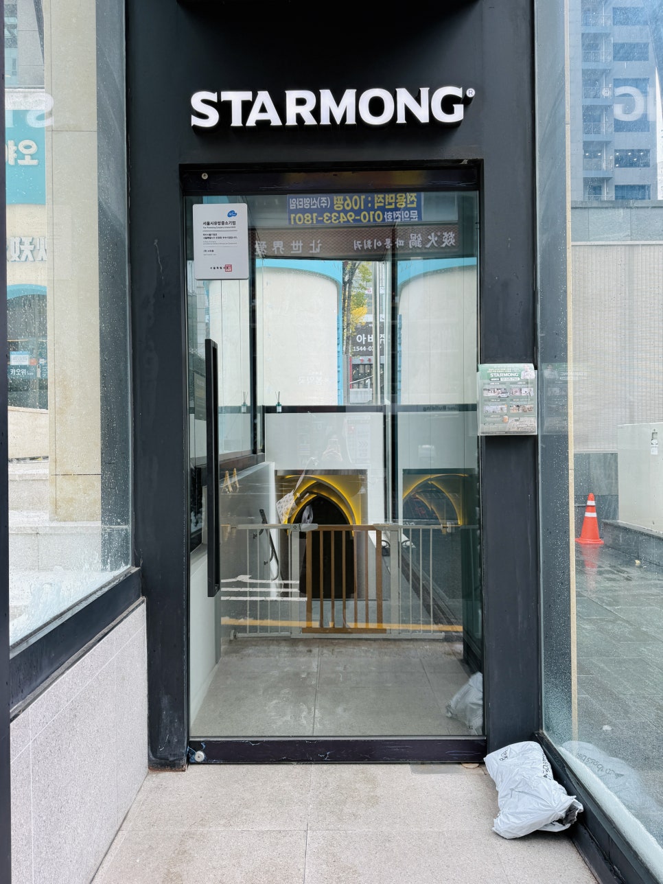 강남 애견유치원 스타몽: 매일 전문가 산책 및 맞춤 교육 — 사진 3