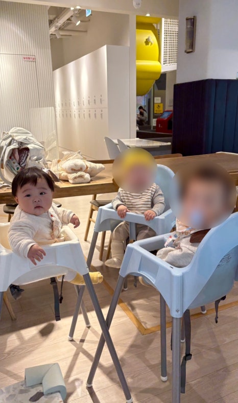 단율 이미지