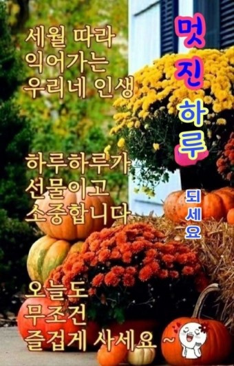 돌핀리조트 이미지