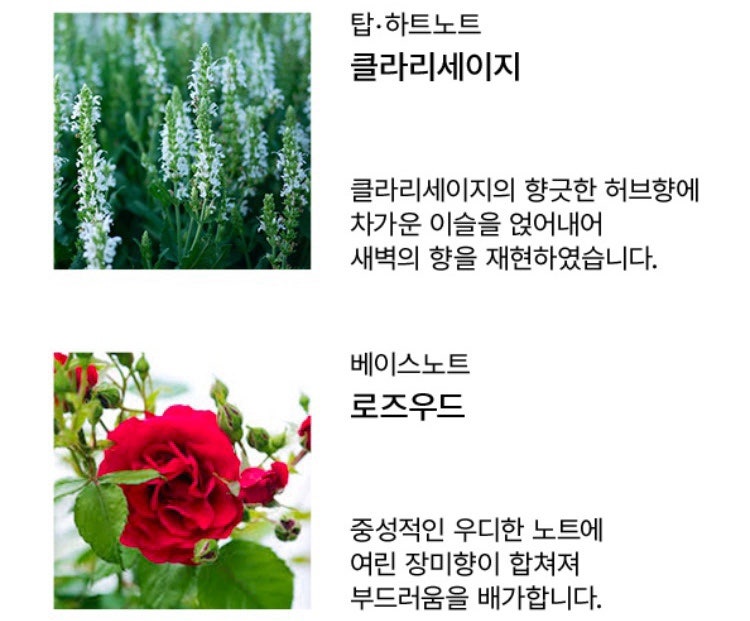 아로브 이미지