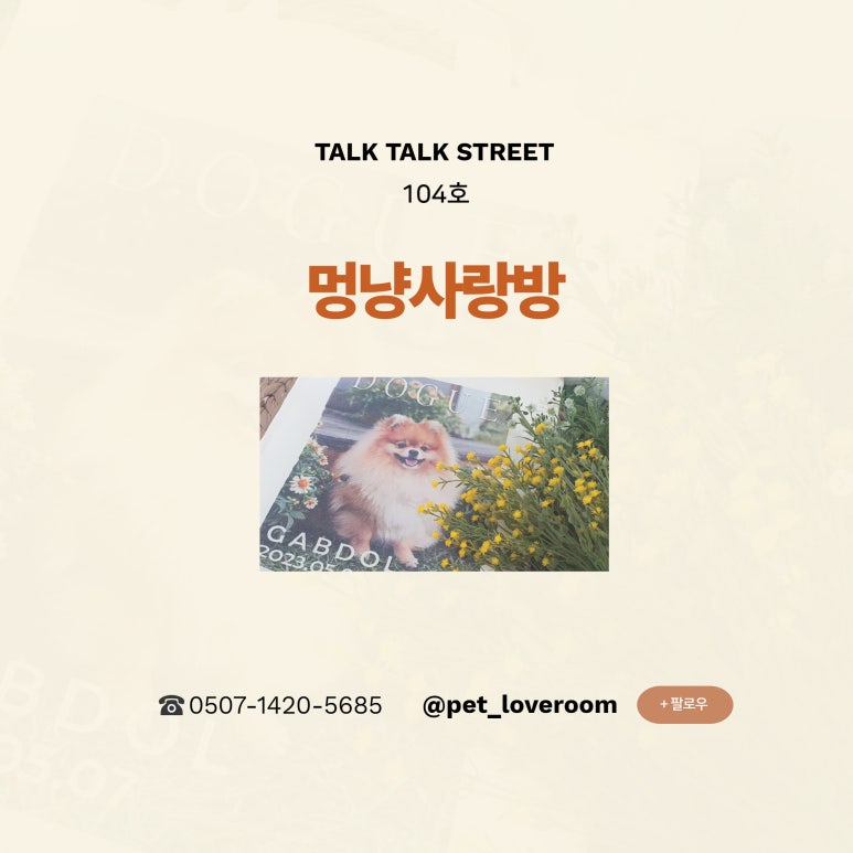 멍냥사랑방 이미지