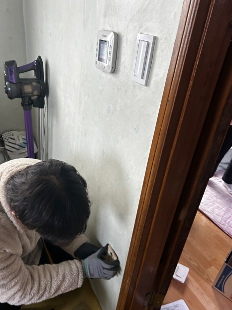 마백전기 이미지