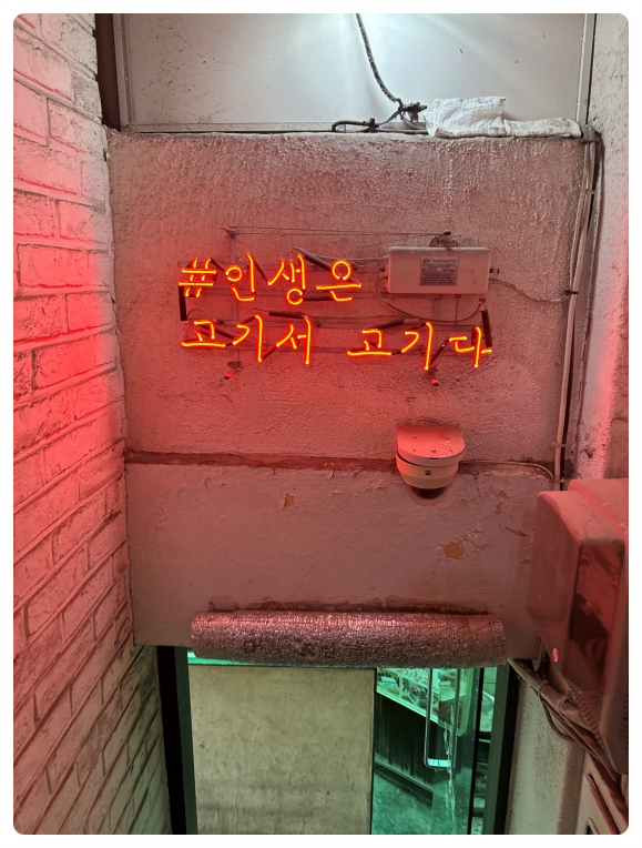 찾아가는 고기 이미지
