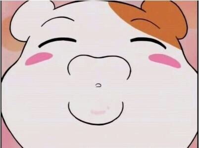 아끌로네 이미지
