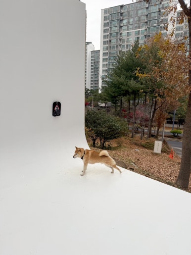 풍경사진관 이미지