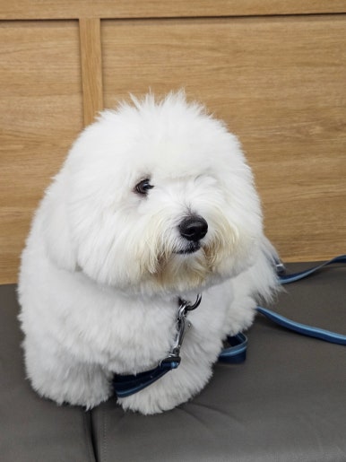 미태리마산월영마을점 이미지