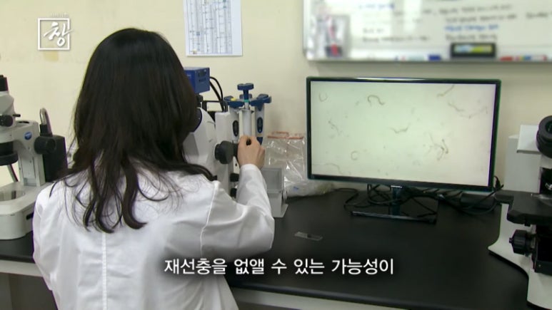 소나무기획 이미지