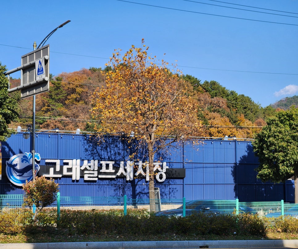 종일세차장 이미지