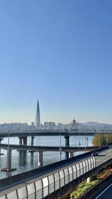 통큰딱따구리 이미지