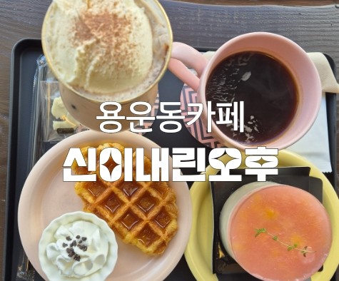 신이내린오후 이미지