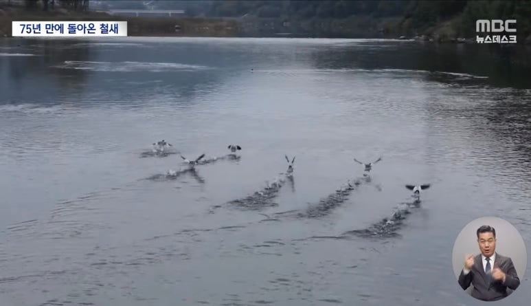 호반 축산 이미지