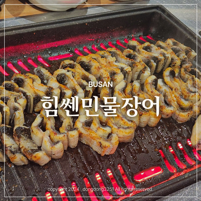 힘쎈민물장어 이미지